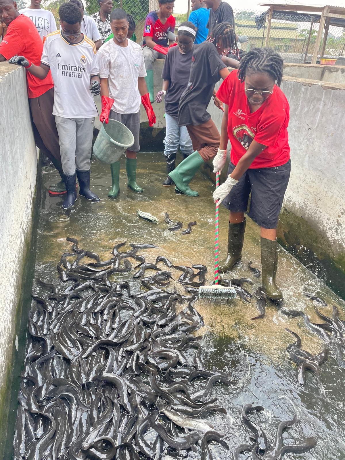 Étudiants participant à la récolte de silures dans un bassin de la Ferme de Bilon