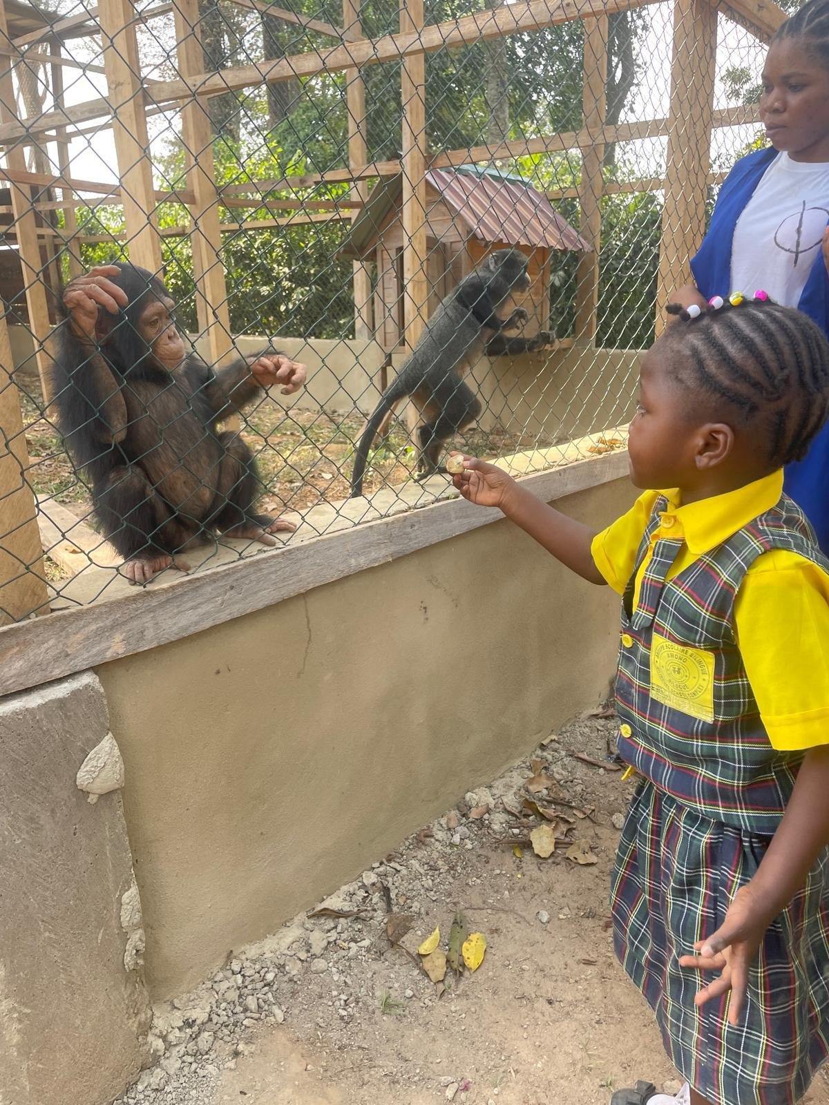 Enfant découvrant les singes
